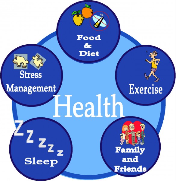 Health Wheel