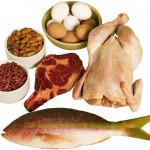 Healthy Nutrition - Protein