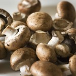Manage Stress - Mushrooms
