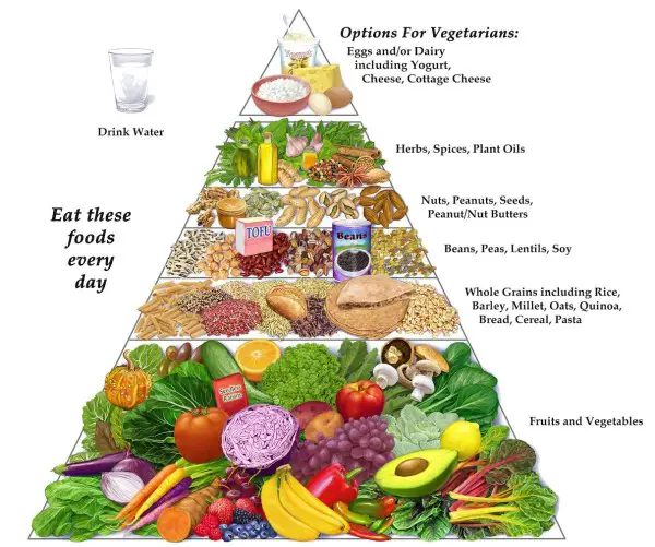 Vegetarian Diet - Vegetarian & Vegan Diet Pyramid