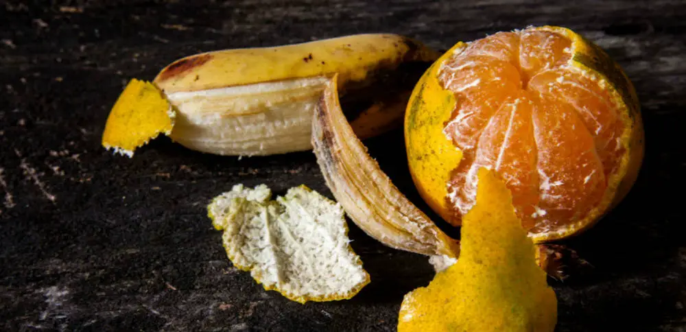11 Reasons You Should Keep Banana Or Orange Peels Health And Healthy Life