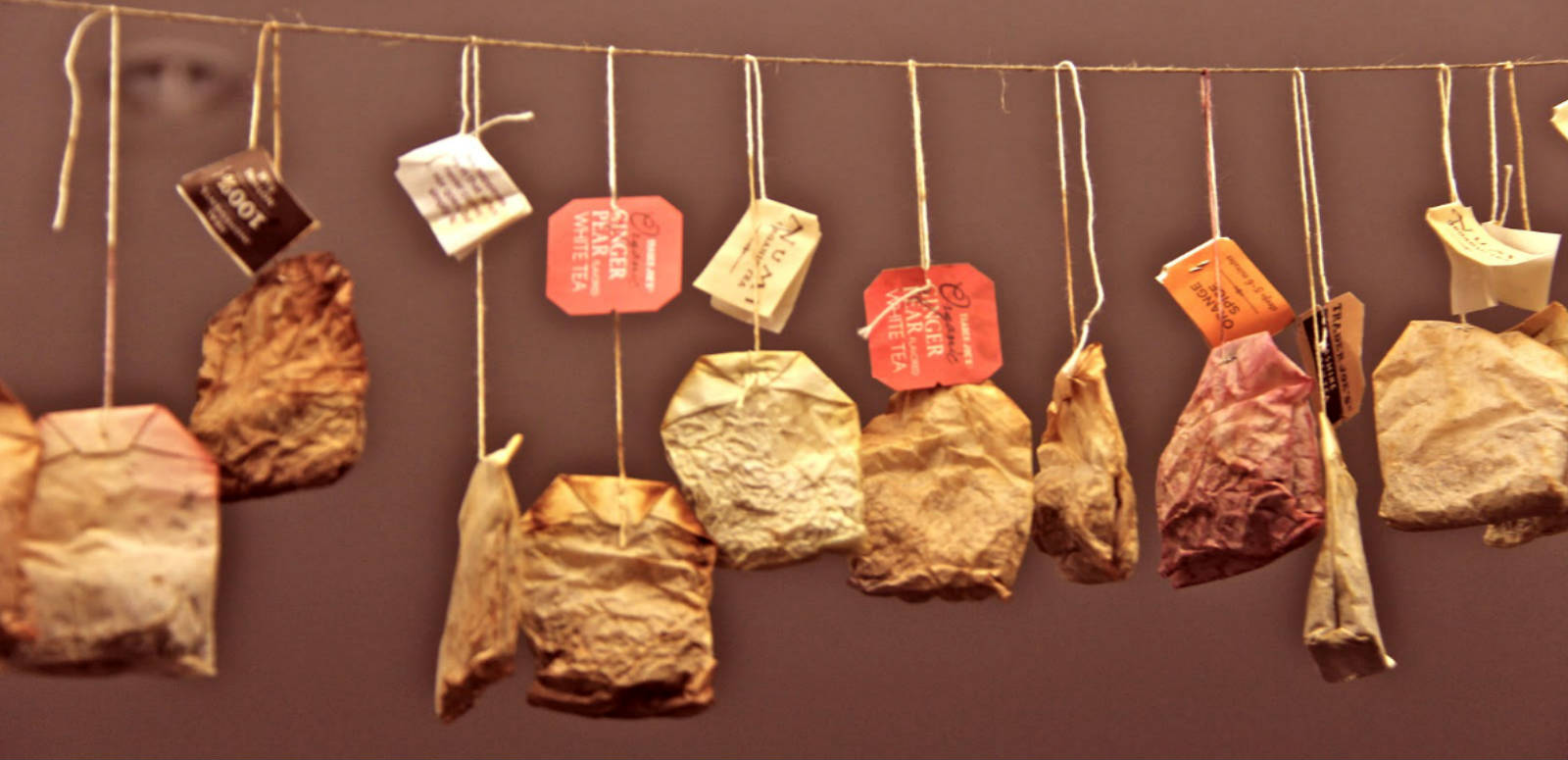 6 Reasons Why You Should Not Throw Away Used Tea Bags