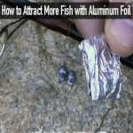 Uses for Aluminum Foil - Fishing Bait