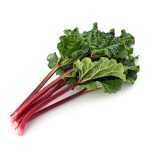 Top 10 Low-Carb Fruits for the Diabetic Diet -Rhubarb 2