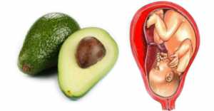 Foods That Look Like The Body Parts - Avocados-Uterus