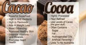 Is Your Chocolate Real - Cacao Vs. Cocoa - What You Need To Know