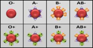 This is How Your Blood Type Determines Your Temperament - Health And ...