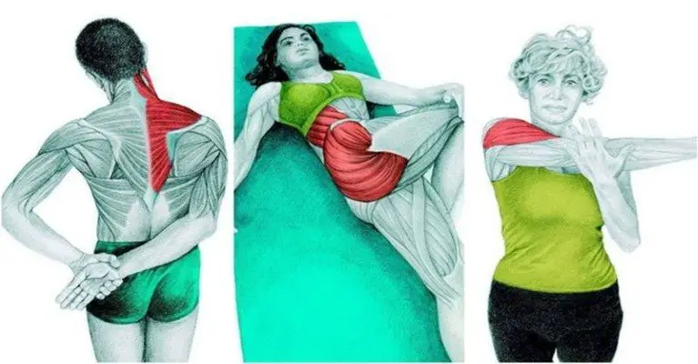 34 Pictures To See Which Muscle You’re Stretching