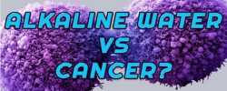 Alkaline Water Kills Cancer!? How to Make It!