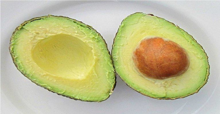 Avocado Boosts Metabolism, Balance Hormones and Fight Diseases