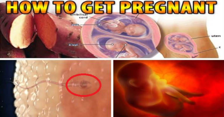 How to Get Pregnant Super Fast Best Foods and Positions for Getting 