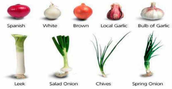 Many Types of Garlic and Their Amazing Effects on Our Overall Health ...