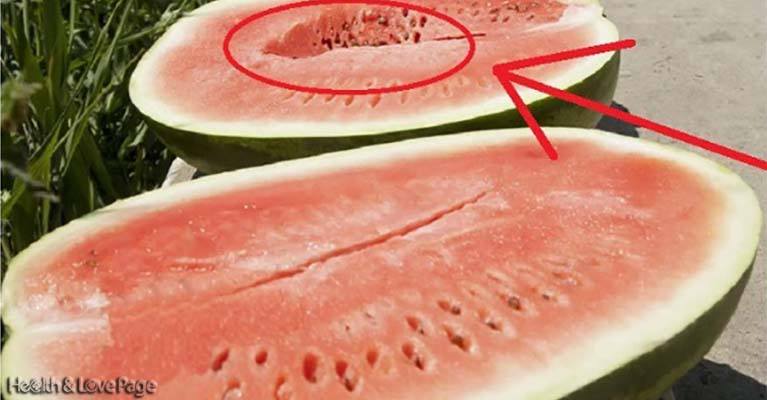 Video You Should Never Ever Eat Watermelons Like This Absolutely Never