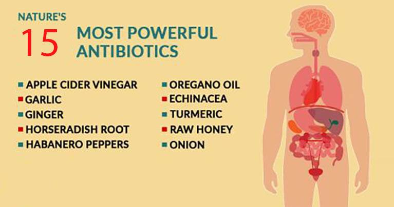 15 Most Powerful Natural Antibiotics Known to Mankind