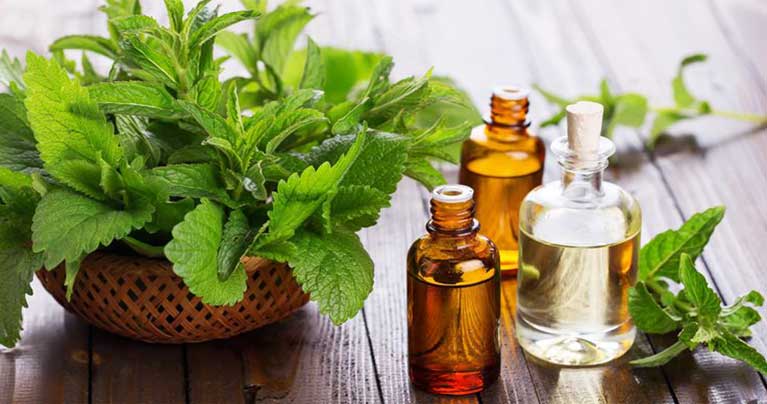 25 Ways to Use The Therapeutic Benefits of Peppermint Oil