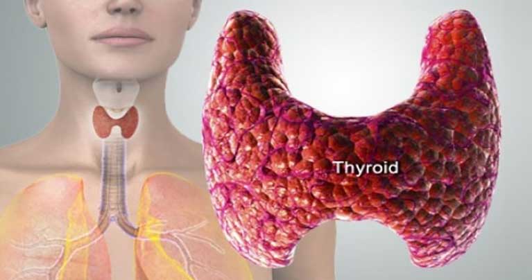 What-Endocrinologists-Won’t-Tell-You-about-Thyroid-and-Essential-Oils