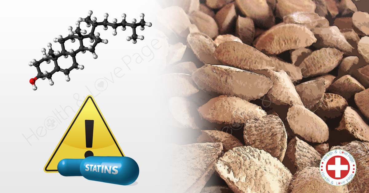 How Many Brazil Nuts a Month Can Replace Statins to Improve Cholesterol Levels